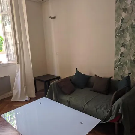 Palais Ophelia Apartment Nice