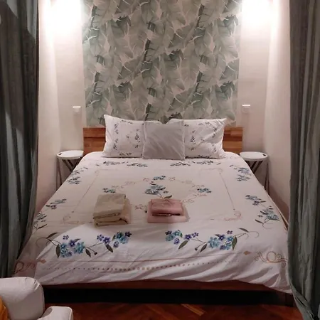 Palais Ophelia Apartment Nice