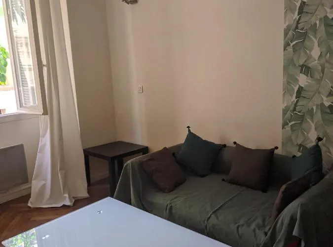 Palais Ophelia Apartment Nice