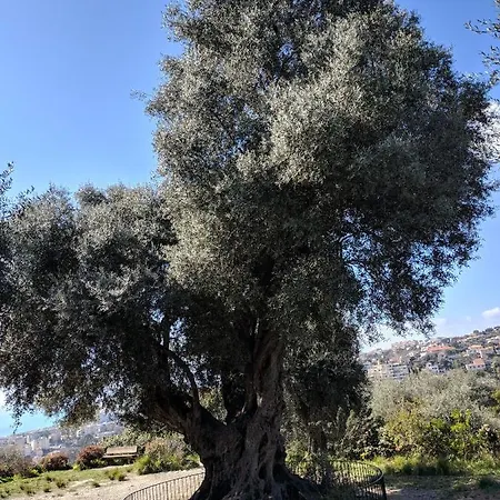 Palais Ophelia Apartament Nicea